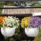 8 Bundles Artificial Daisy Flowers for Outdoors Spring Summer Decor, UV Resistant Faux Cemetery Flowers Plastic Greenery Shrub Fake Artificial Plants Outside Home Gardens Porch Planter Indoor(Color)
